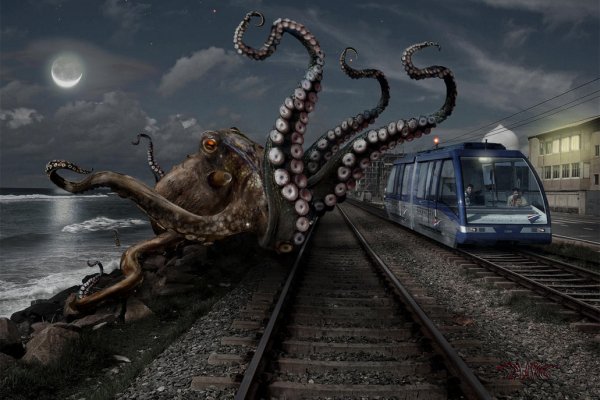 Kraken 23 at