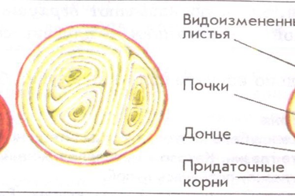 Кракен магазин krakens13 at
