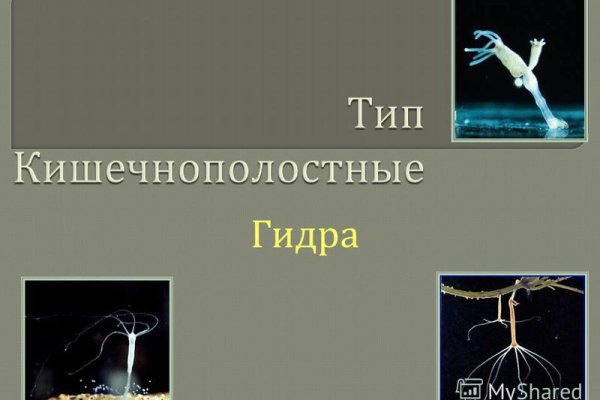 Кракен тг ссылка