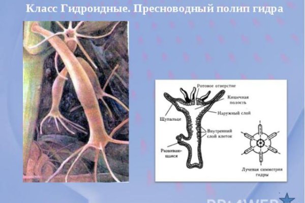 Ссылка кракен cc