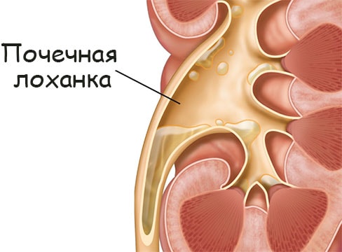 Войти на кракен